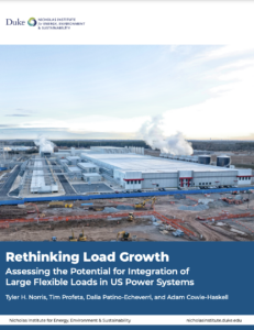 Rethinking Load Growth: Assessing the Potential for Integration of Large Flexible Loads in US Power Systems